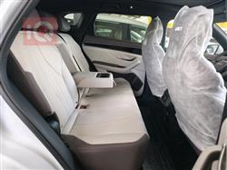 بي واي دي سونغ بلس